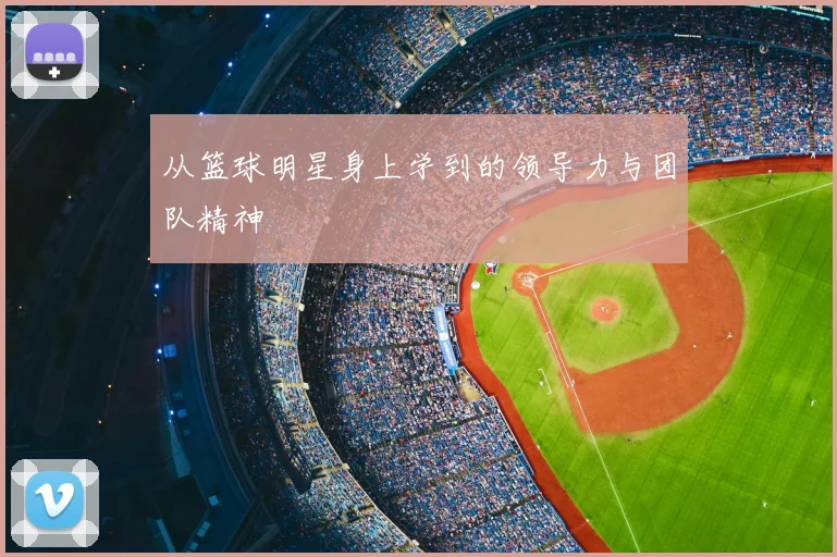 从篮球明星身上学到的领导力与团队精神