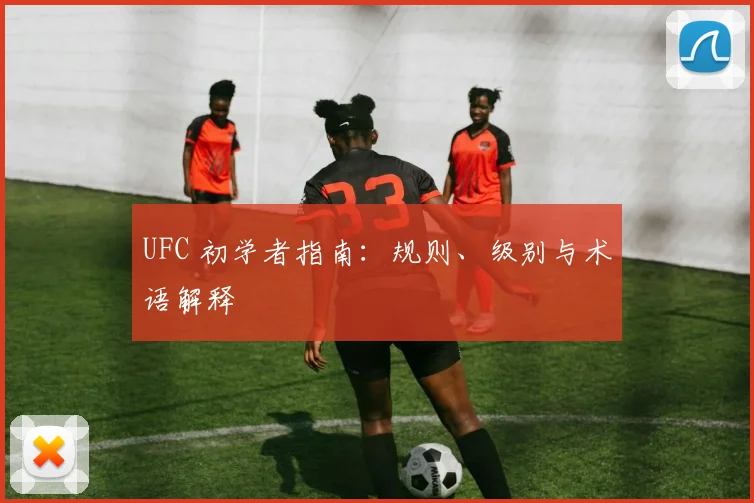 UFC 初学者指南：规则、级别与术语解释