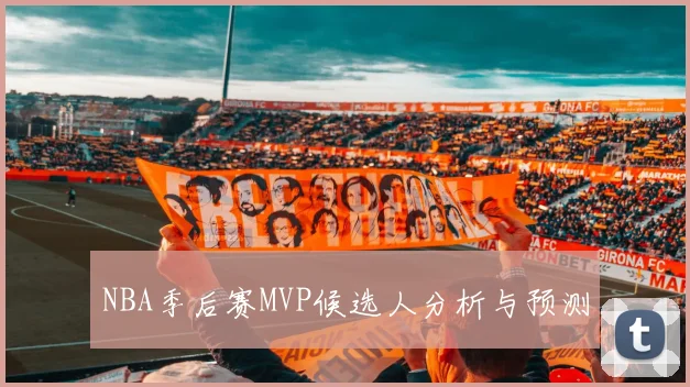 NBA季后赛MVP候选人分析与预测
