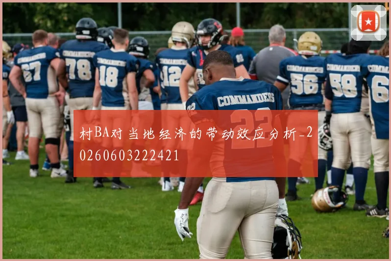 村BA对当地经济的带动效应分析_20260603222421